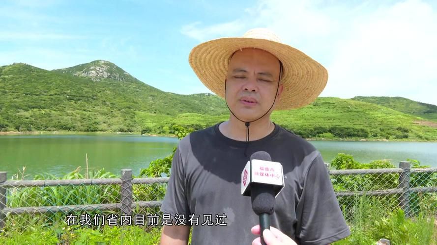 发现福鼎1名密接者!(福鼎最尽有没有发生什么案件)
