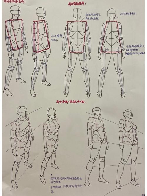 天津河北区疫情最新消疫情况:人体结构几何体速写