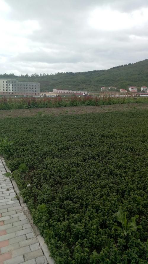 甘肃省临夏回族自治州康乐县中高风险地区疫情/甘肃省临夏州康乐县 2023 2024衔接资金项目
