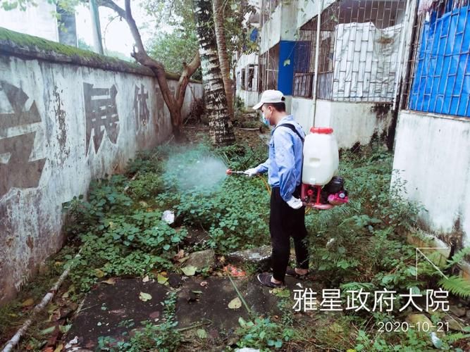  疫情最新报告海南省儋州市雅星镇新闻:儋州雅星镇最新任命信息
