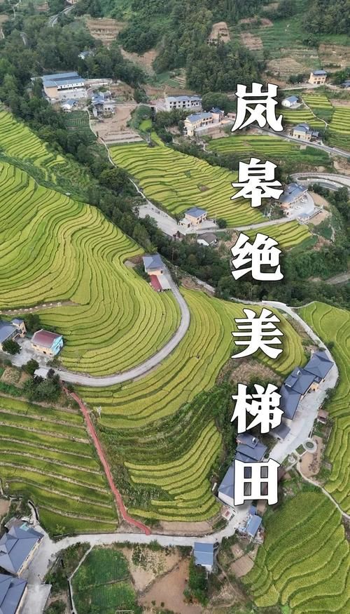 陕西安康岚皋县最新最新通报：寻找同轨迹人员(安康市岚皋县在陕南哪个部位)