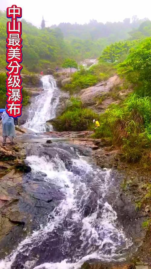 【今冬板芙镇最新消息疫情,板芙最出名的三个景点】