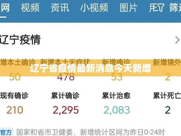 疫情最新报告辽宁朝阳龙城区新闻(辽宁省朝阳市龙城区地图高清)