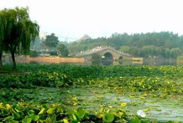 【沛县新增16例本土确诊，涉及贺兰县,沛县7天预报最新更新】