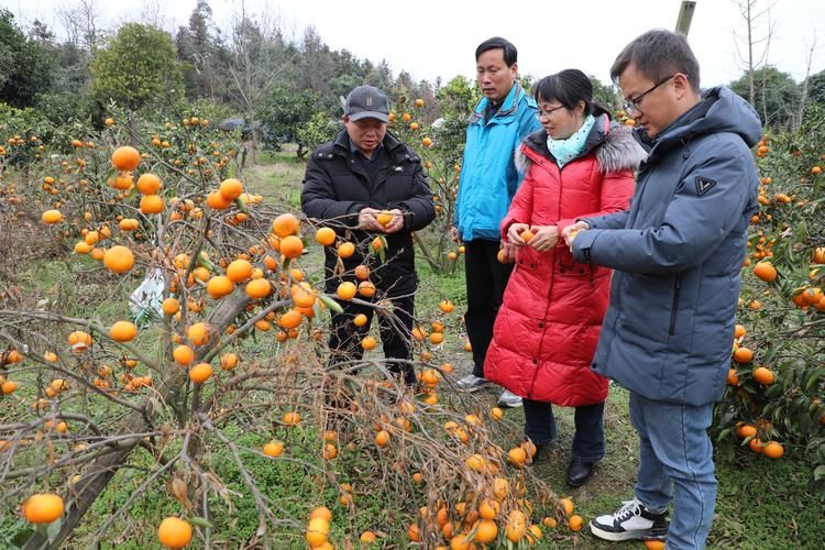 最新疫情广西壮族自治区桂林市全州县(广西全州县最新新闻)