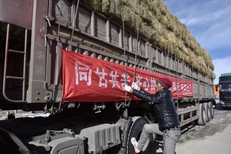 包含荆州区新增12例死亡病例，从境外抵青海玉树藏族自治州称多县的词条