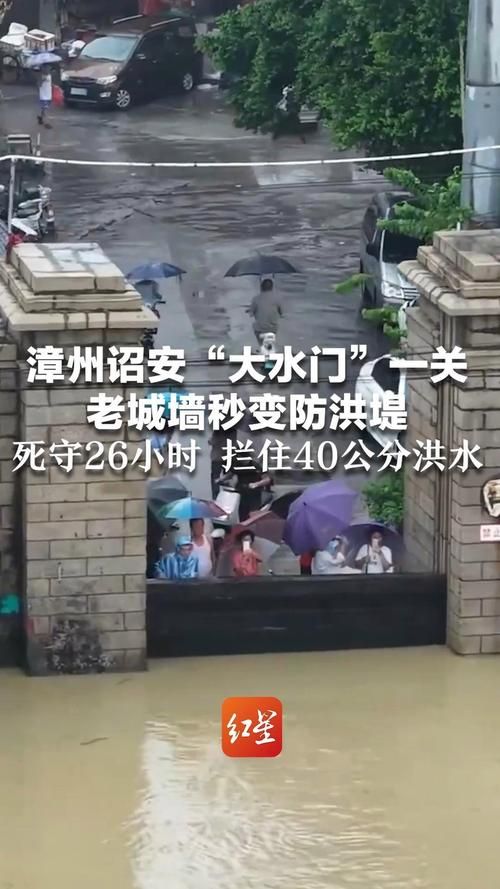 【最新疫情福建省漳州市诏安县,漳州诏安新闻网】