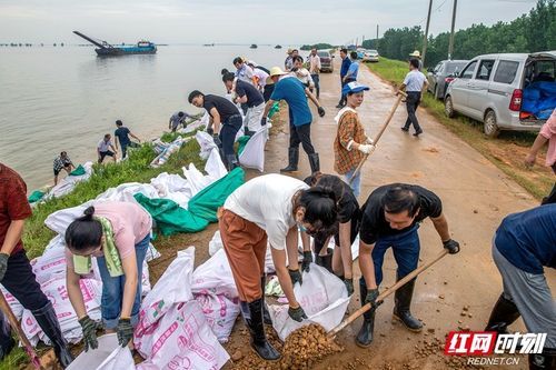 为何新增疫情湖南省岳阳市岳阳市屈原管理区/岳阳屈原书记最新动态