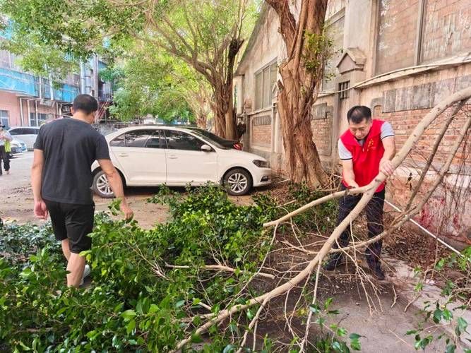 一张图看懂今冬大涌镇疫情/广东大涌镇属于哪个市