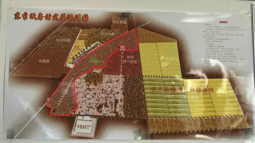 一张图看懂枣强县近期轨迹公布(枣强县是哪里)