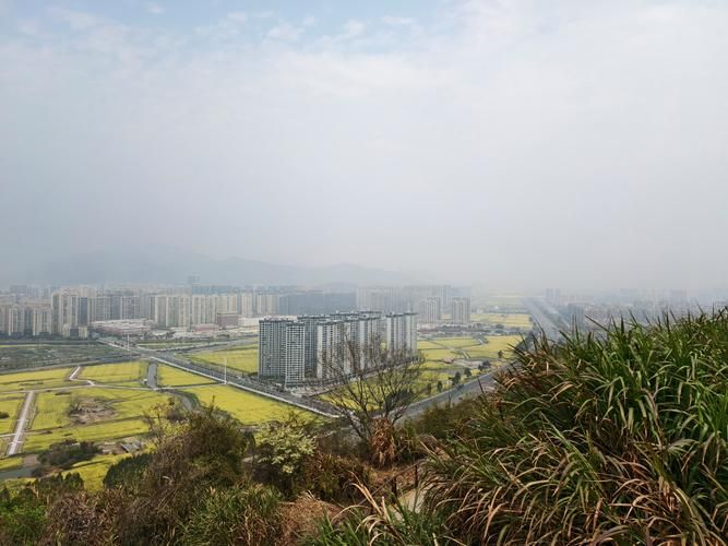 浙江省温州市乐清市各地区疫情等级_乐清新增9家什么
