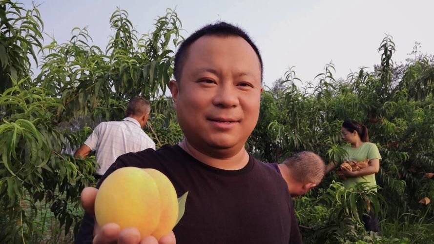 老河口最新通告：所有人员封城/老河口市这几天凉快了吗最近