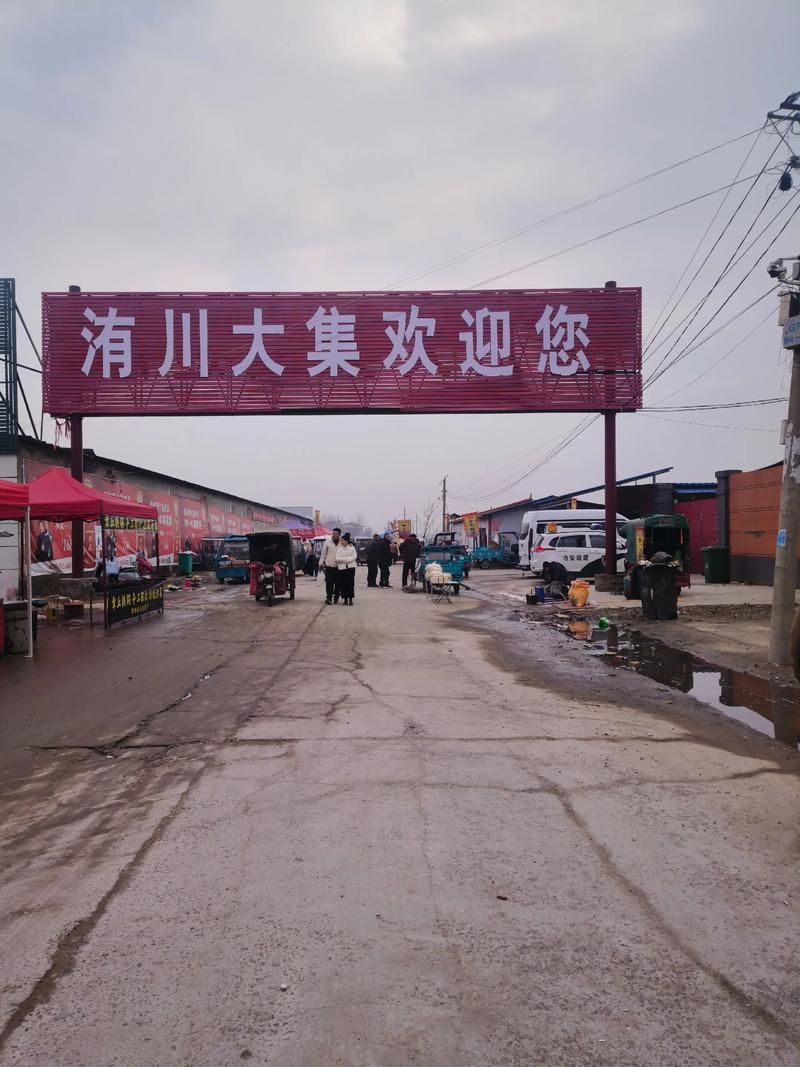  河南开封尉氏县近6天最新消息疫情:开封市尉氏县是哪个省