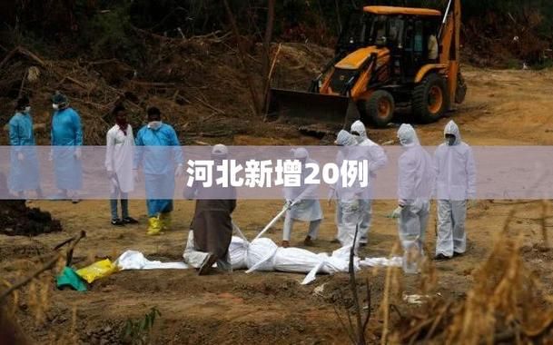  最新疫情临床河北区:河北新冠病毒最新消息今天