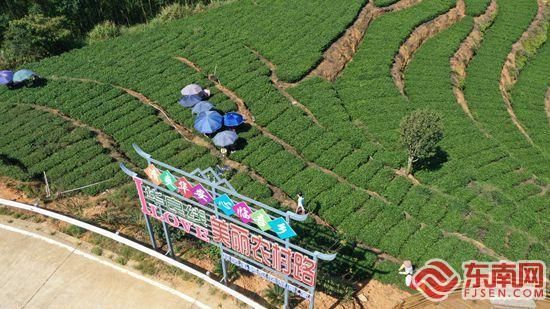 福建漳州华安县新增疫情最新/漳州华安最新法院判刑案件