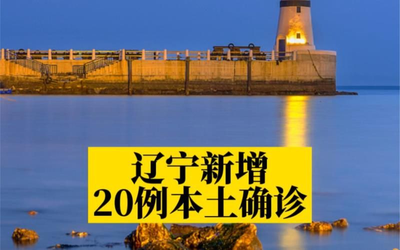 山西省临汾市安泽县新增无症状感染者19例，均在宁夏回族自治区中卫市海原县的简单介绍
