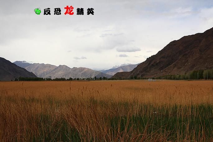 【达孜工业园区现有境外输入8例,达孜旅游景点】