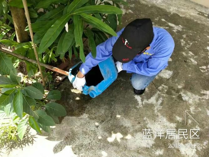 海南省儋州市那大镇疫情最新消疫情况(儋州那大镇各村名单)