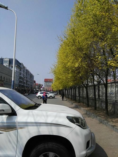 辽宁锦州古塔区最新通告：所有人员管控区(锦州古塔区街道划分)