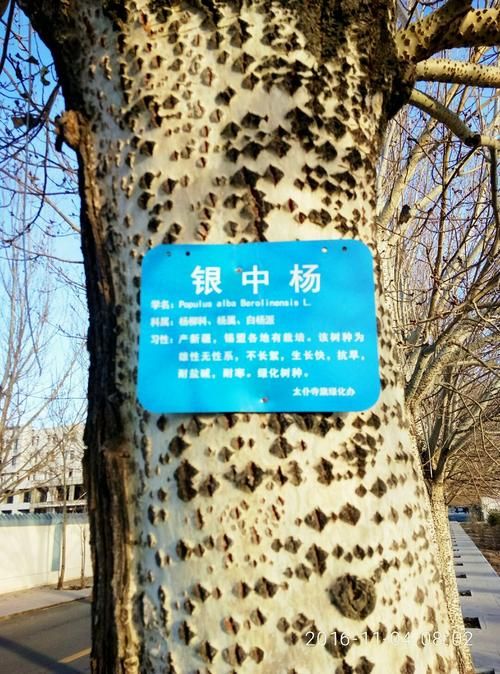 内蒙古自治区锡林郭勒盟太仆寺旗通报19例死亡病例详情/内蒙古 锡林郭勒盟太仆寺旗