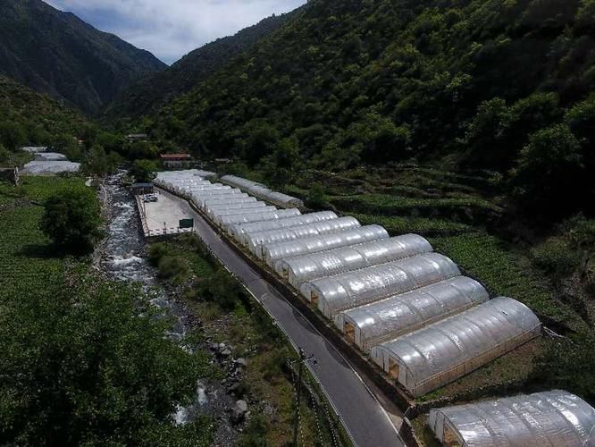 四川省阿坝藏族羌族自治州金川县最新通告：所有人员足不出户(阿坝藏族羌族自治州金川县天气情况)