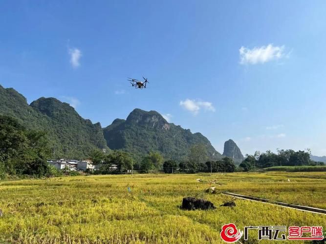 大新县重症已回落23地/大新县地质