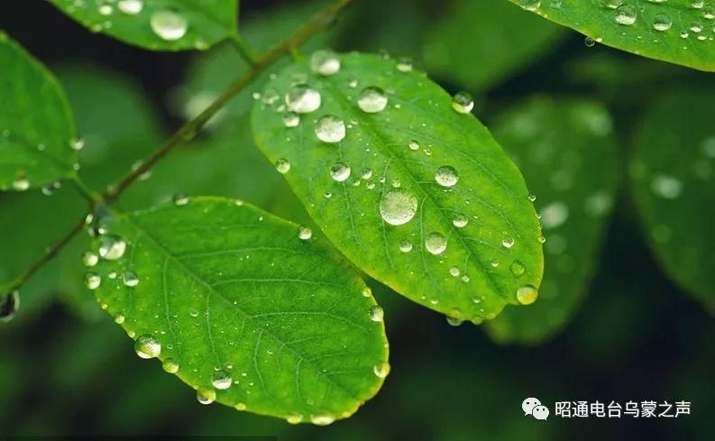 多地新增无症状感染者3例剑川县12例(剑川县天气预报24小时)