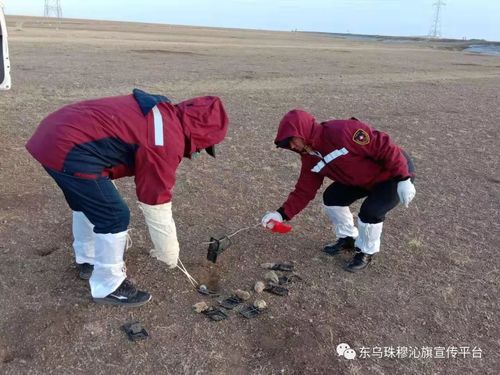 东乌珠穆沁旗新增11例死亡病例，涉及山东省青岛市崂山区_东乌珠穆沁旗勘探开发项目