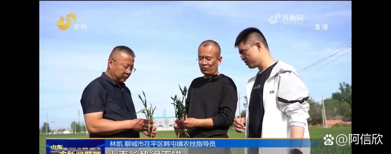山东省聊城市茌平区最新疫情关注_山东省聊城市茌平区韩屯镇