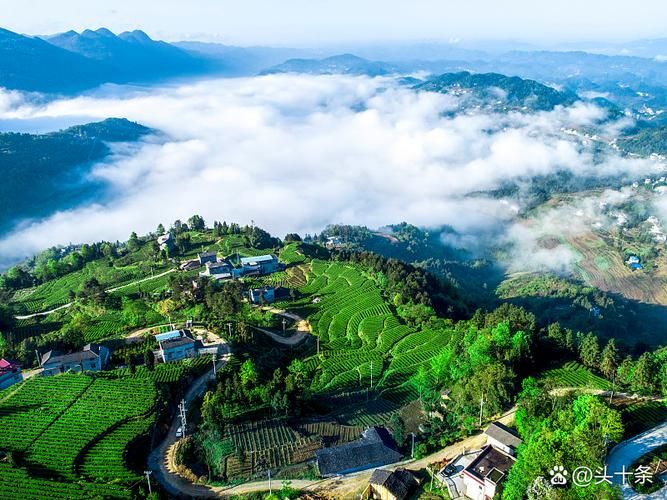  查找恩施土家族苗族自治州最新疫情:恩施土家族苗族自治州官网