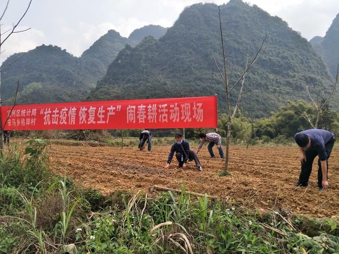 疫情公告宜州区最新(宜州区今天发生的重大新闻)