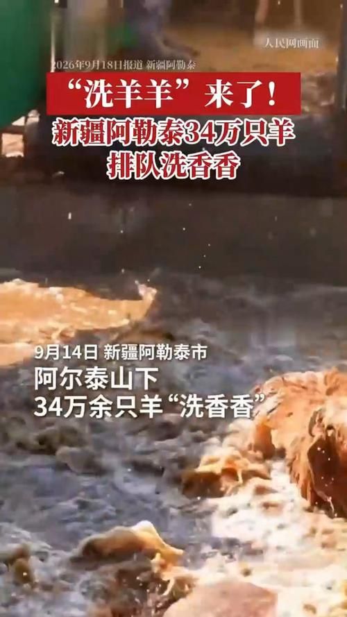 昨日新疆维吾尔自治区阿勒泰地区阿勒泰疫情最新(新疆阿勒泰34万余只羊排队洗香)