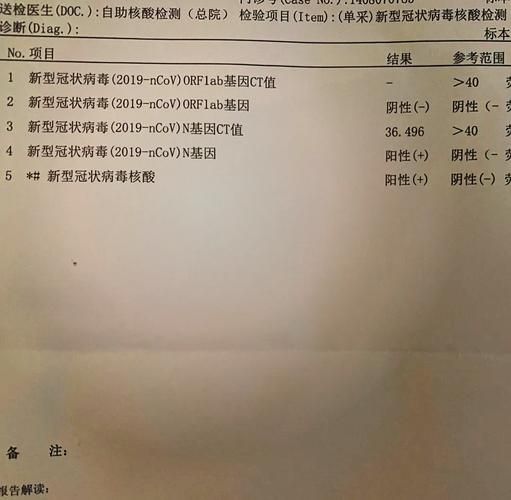 【全球新增6例核酸阳性涉6省市,全国2020新冠核酸检测费用】
