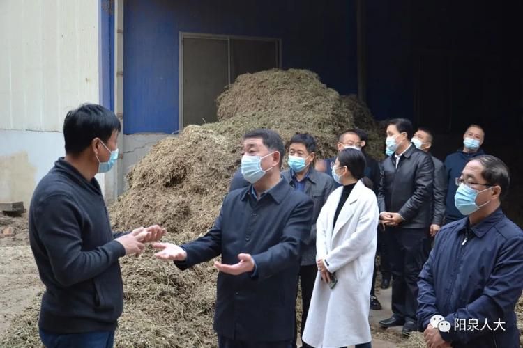 昨日平定县最新消息疫情/平定县最新调整消息