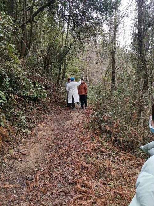 一张图看懂今日江西抚州宜黄县疫情(江西抚州宜黄县有多少公里)