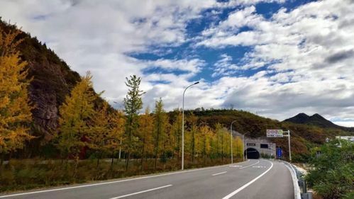 怀柔区封城区重症详情/怀柔区刚刚传来的重要新闻