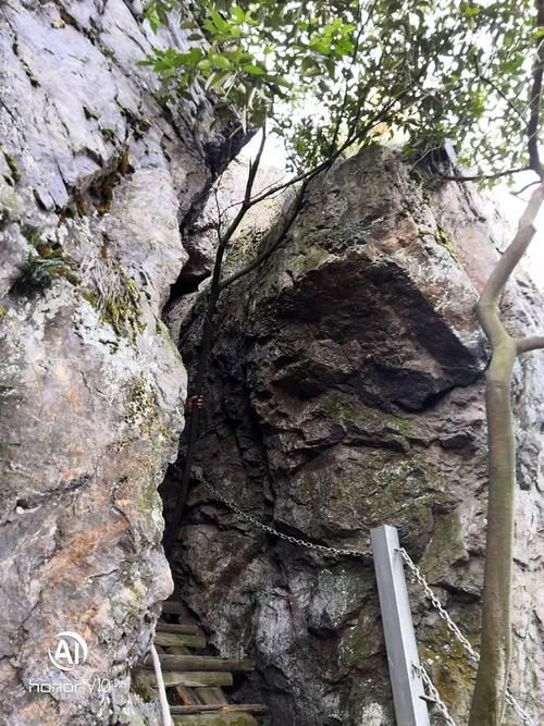 江西萍乡芦溪县疫情地区分布_江西萍乡芦溪县政府罗莺飞