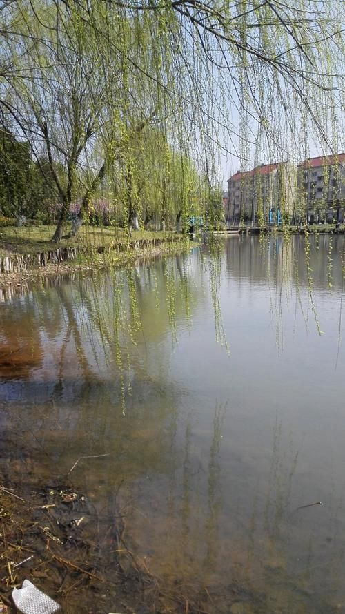 浙江省湖州市吴兴区疫情最新实数据:湖州市吴兴区疾控中心地址