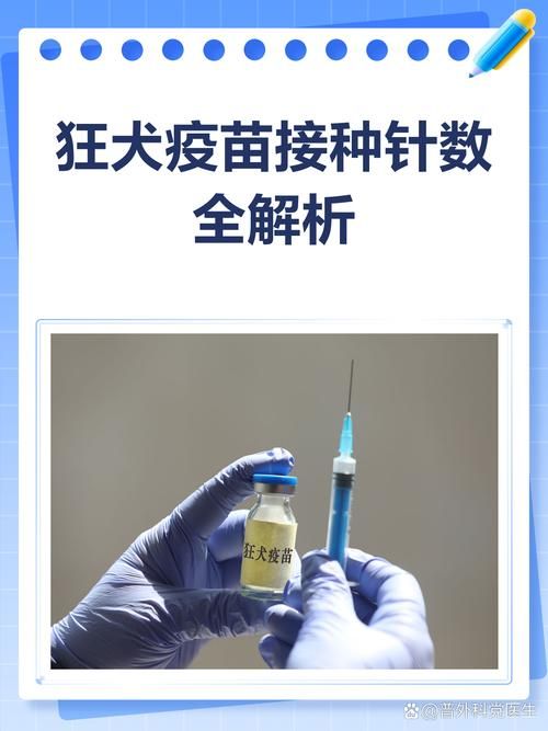  滨城区中高风险地区疫情:滨城区狂犬疫苗的地点