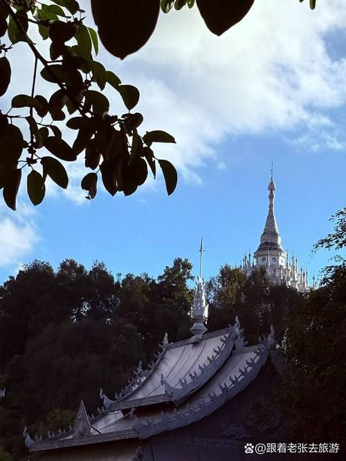 【解读疫情最新消息云南德宏傣族景颇族自治州芒,德宏傣族景颇族自治州芒市销售遮放贡酒】