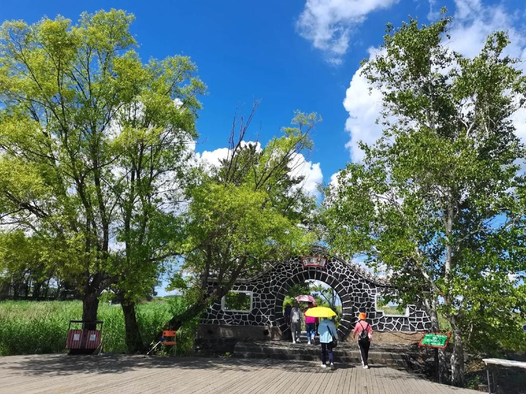 黑龙江省黑河市五大连池市疫情防控中风险地区(黑龙江省黑河市五大连池市龙镇)