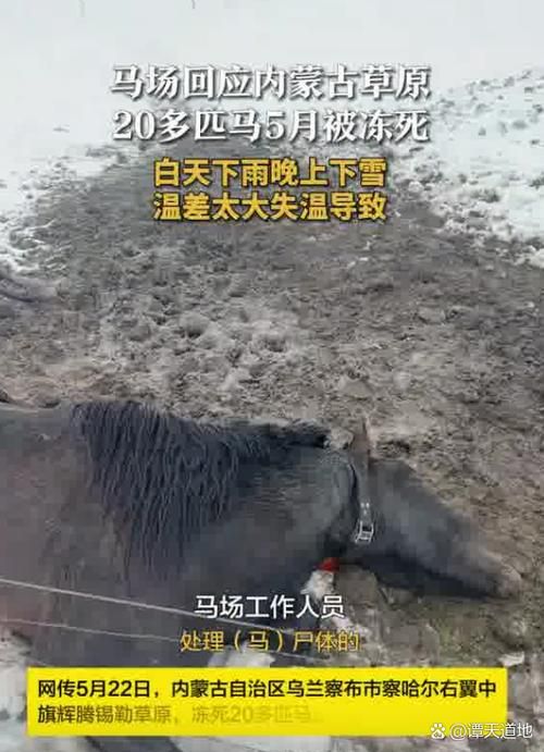  内蒙古自治区乌兰察布市察哈尔右翼前旗各地区疫情等级:乌兰察布市察哈尔右翼前旗蒙中医院