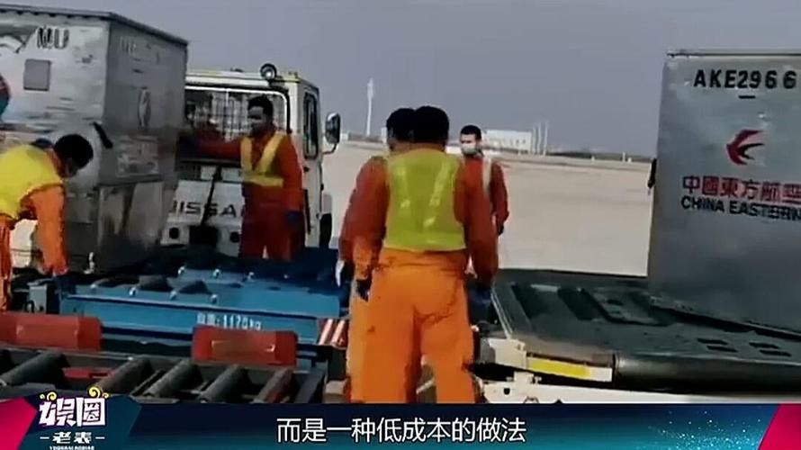 多地疫情存反弹风险/全国多地优化疫情防控措施