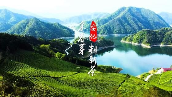 【湖南益阳安化县疫情视频最新,湖南益阳安化县温泉】