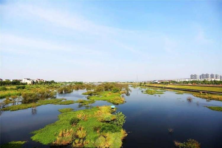 浙江衢州江山疫情最新情报/衢州江山港今天最新消息