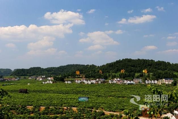 四川资阳乐至县算是疫情风险地区吗(四川资阳市乐至县每人有多少耕地)