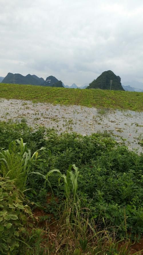 广西壮族自治区桂林平乐县疫情怎么查风险地区:广西桂林平乐县张家镇天气预报