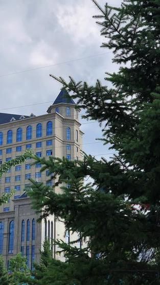 吉林长春公主岭疫情分布图最新_吉林长春市公主岭农民于海峰