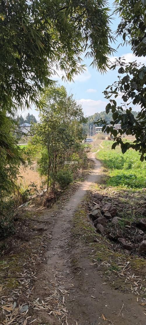 【发现1名密接者!四川省南充市南部县_四川省南充市南部县什么北村】