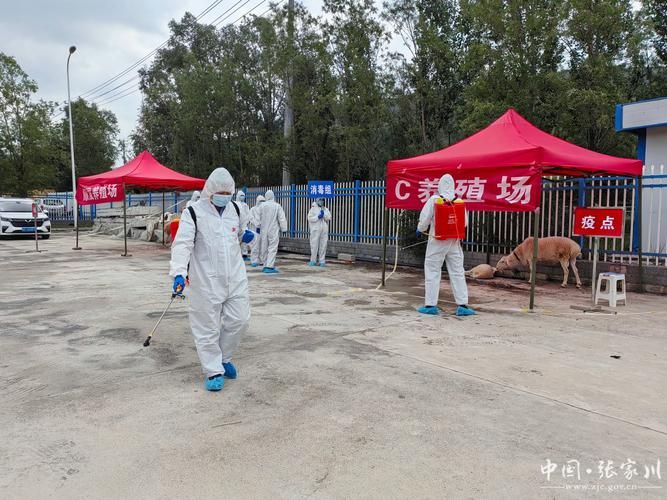 疫情防控中风险地区即墨区(即墨区动物疫病预防与控制中心)